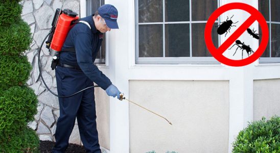 Arhavi Dezenfeksiyon böcek ilaçlama ve haşere kontrolü — ilaclama-tr.com